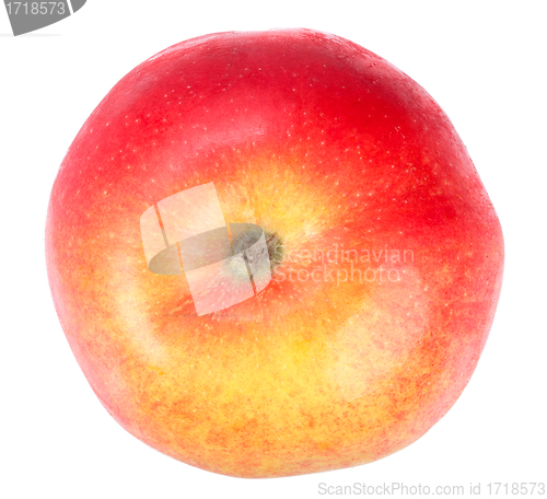 Image of Fresh red-yellow apple