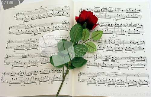 Image of Rose Music