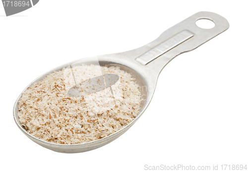 Image of spoon of psyllium seed husks 
