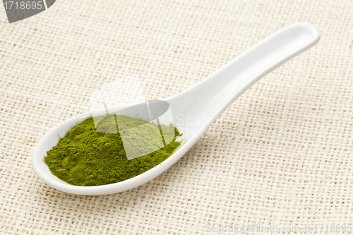 Image of freeze-dried organic wheat grass powder