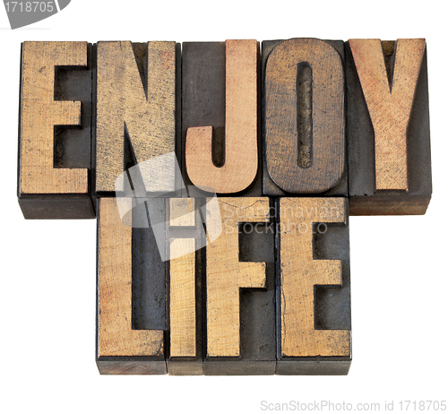 Image of enjoy life in wood type