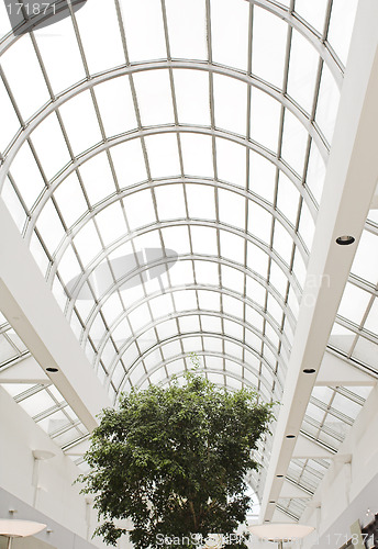 Image of roof top