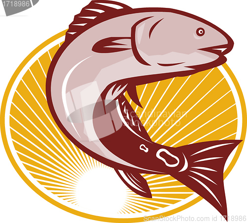 Image of Red Drum Spot Tail Bass Fish Retro