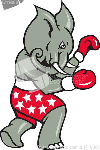 Image of Elephant Boxer Boxing Stance 