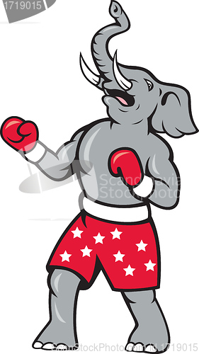 Image of Elephant Boxer Boxing Stance 