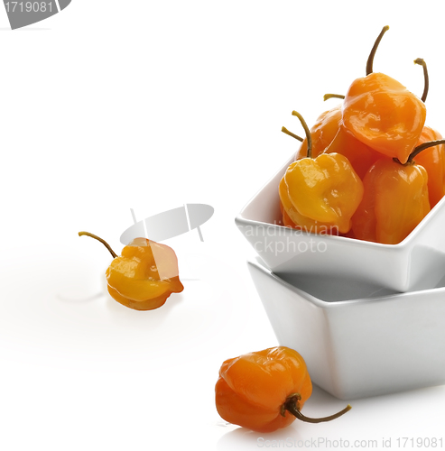 Image of Hot Yellow Pepper