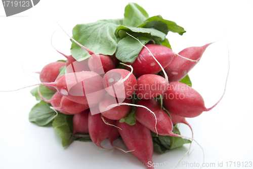 Image of Radishes