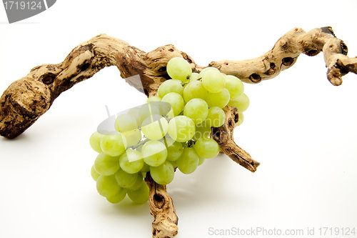 Image of Grapes