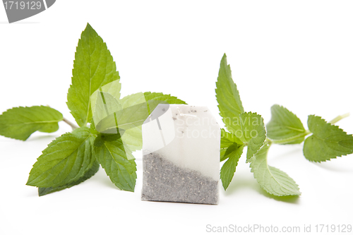 Image of Tea bag with mint