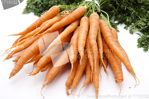 Image of Carrots