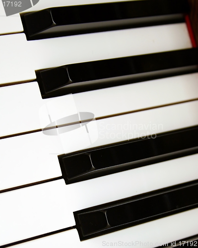 Image of Piano Key Perspective