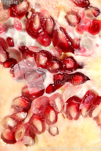 Image of pomegranate texture