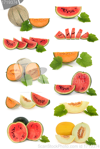 Image of Melon Fruit Collection