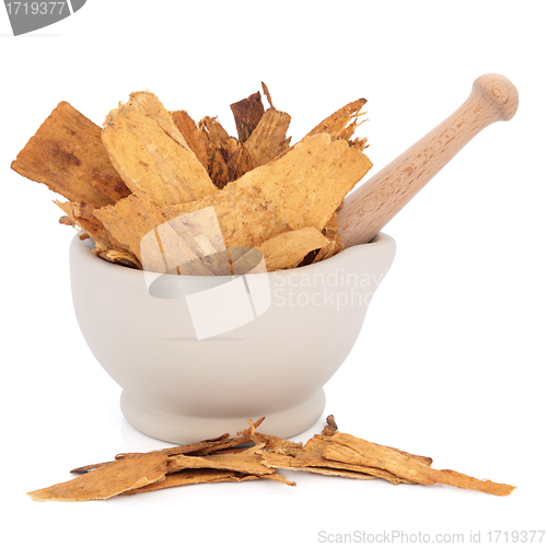 Image of Astragalus Root Herb