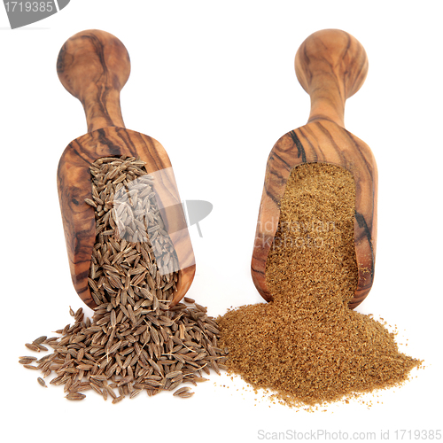 Image of Cumin Seed and Powder