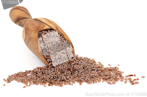 Image of Pink Psyllium Seed