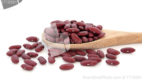 Image of Kidney Beans