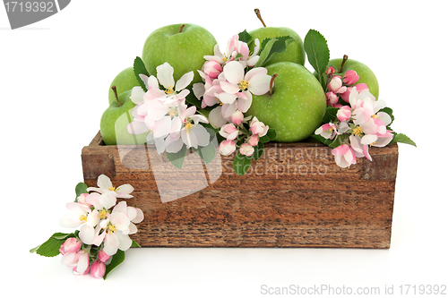 Image of Granny Smith Apples