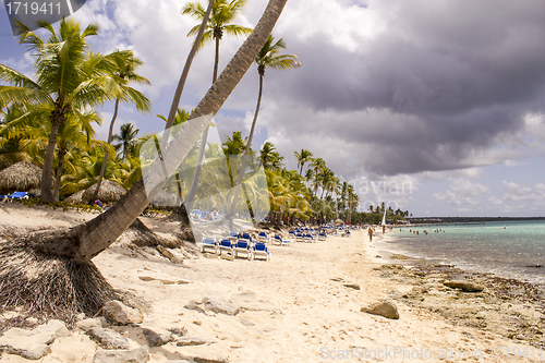 Image of Palms and Chairs on Caribbean Beach