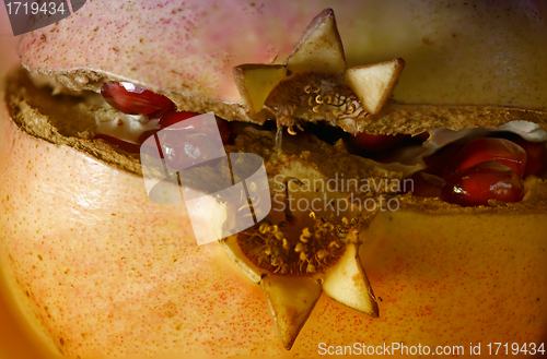 Image of Pomegranate macro with Seeds