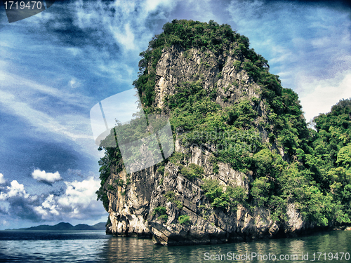 Image of Island Vegetation in Thailand