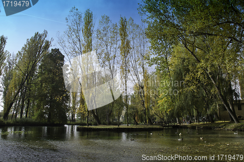 Image of Vegetation of Fonti del Clitunno Park in Umbria