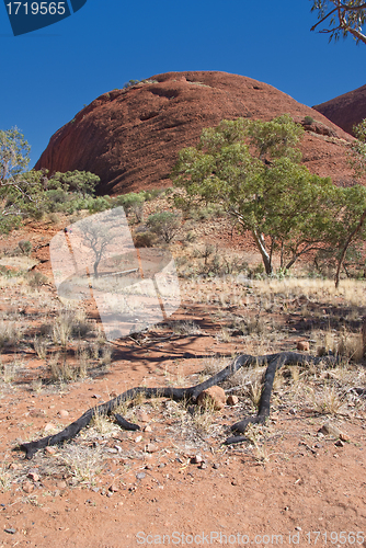 Image of Australian Outback