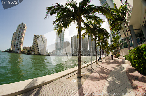 Image of Detail of Chopin Plaza, Miami