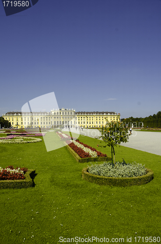 Image of Gardens and Flowers inside Schonbrunn Castle