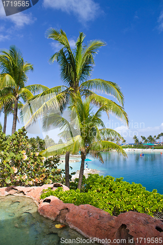 Image of Colors of Nassau, Bahamas