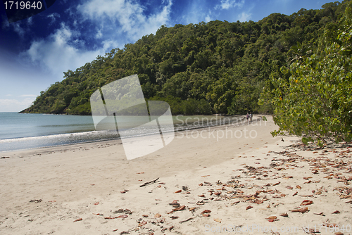 Image of Vegetation and Ocean in Cape Tribulation