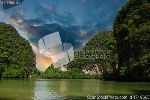 Image of Vegetation of Thai Islands