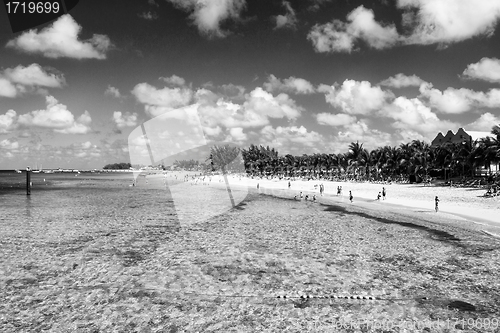 Image of Caribbean Sea turquoise white Sand Beach