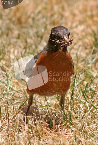 Image of Mouth Full