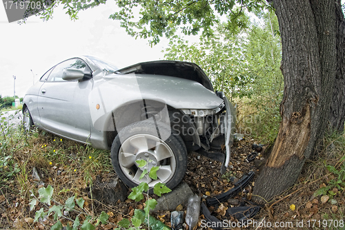 Image of Car against a Tree, Italy