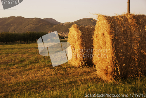 Image of Hay Bales, Tuscany