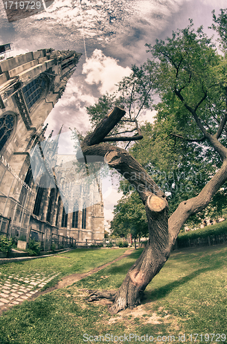 Image of Trees and Monuments in Burggarten, Vienna