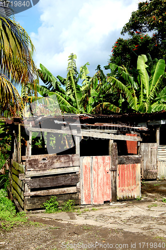 Image of Caribbean shack.