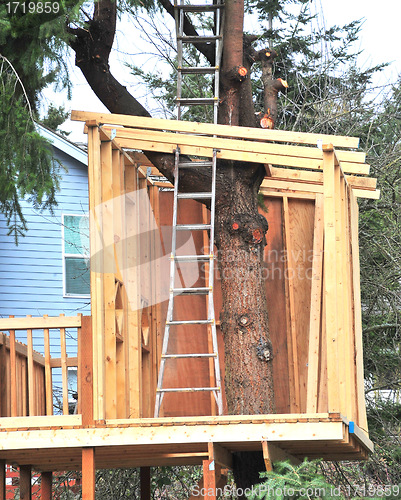 Image of Treehouse.