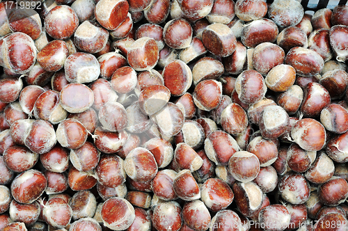 Image of Raw chestnuts