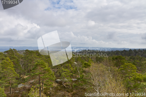 Image of view over forest with cloudy sky