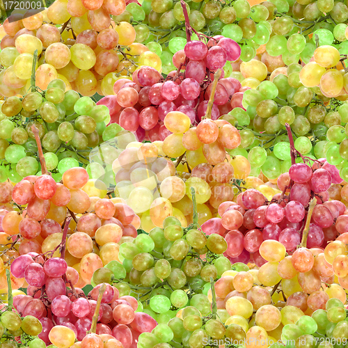 Image of Seamless pattern of fresh ripe motley grape