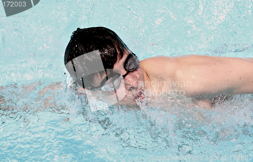 Image of swimmer