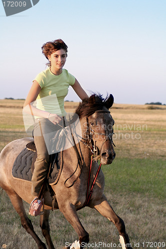 Image of horse galloping