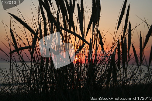Image of sunset
