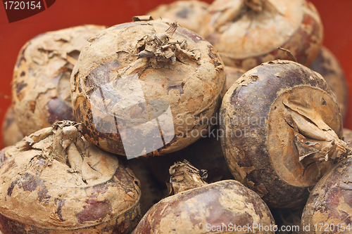 Image of Water chestnuts isolated on white background