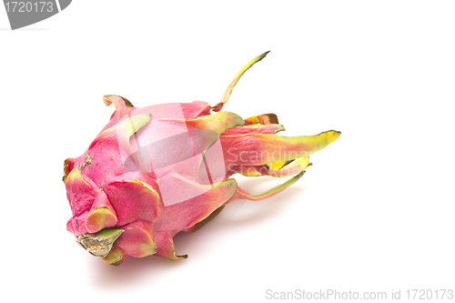 Image of Dragonfruit on white background