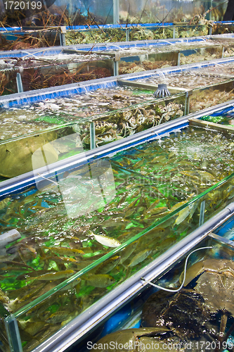 Image of Seafood for sale in Hong Kong