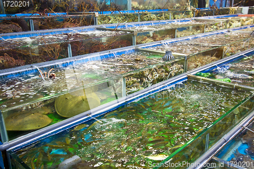 Image of Seafood on sale