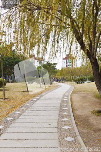 Image of Walkway in a university